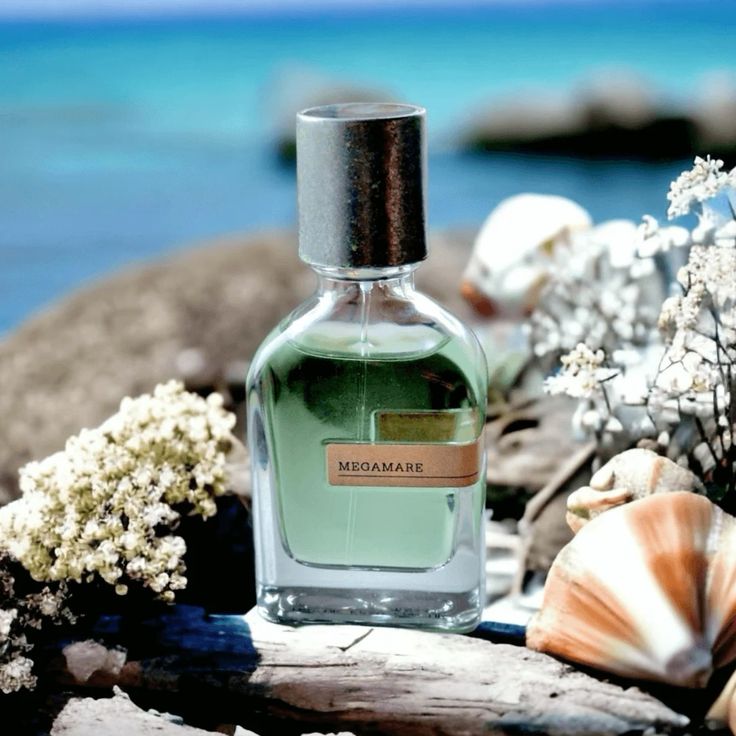 خرید عطر مگاماره