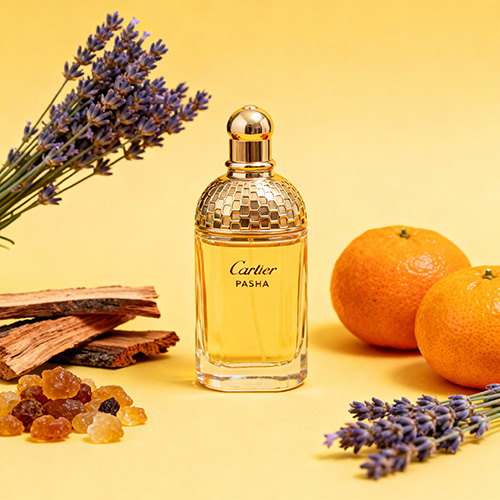 نت های عطر کارتیر پاشا