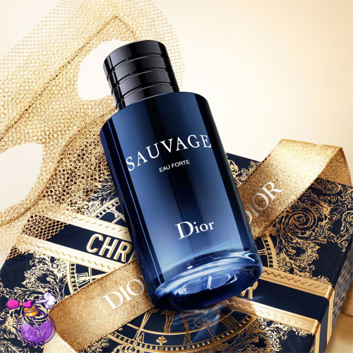 خرید عطر دیور ساواج